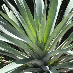 Meet your Posher, Jency